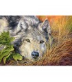 Puzzle da 500 Pezzi Anima Pura