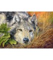 Puzzle da 500 Pezzi Anima Pura