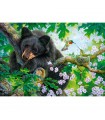 Puzzle da 500 Pezzi - Vorrei Poter Volare