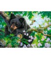 Puzzle da 500 Pezzi - Vorrei Poter Volare