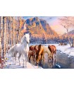Puzzle da 500 Pezzi - Fusione Invernale