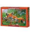 Puzzle da 500 Pezzi Sogni di una Volpe