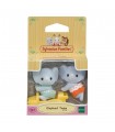 Gemelli Elefante