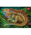 Puzzle da 500 Pezzi - Incredible Iguana