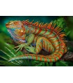 Puzzle da 500 Pezzi - Incredible Iguana