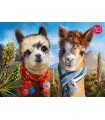 Puzzle da 1000 Pezzi - Friends Forever
