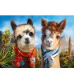 Puzzle da 1000 Pezzi - Friends Forever