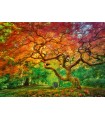 Puzzle da 1000 Pezzi - Arterial Spray
