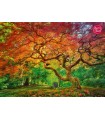 Puzzle da 1000 Pezzi - Arterial Spray