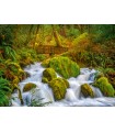 Puzzle da 1000 Pezzi - Silky Smooth