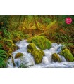 Puzzle da 1000 Pezzi - Silky Smooth