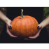 Halloween 2022: i giochi consigliati